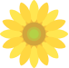 sunflower2.png